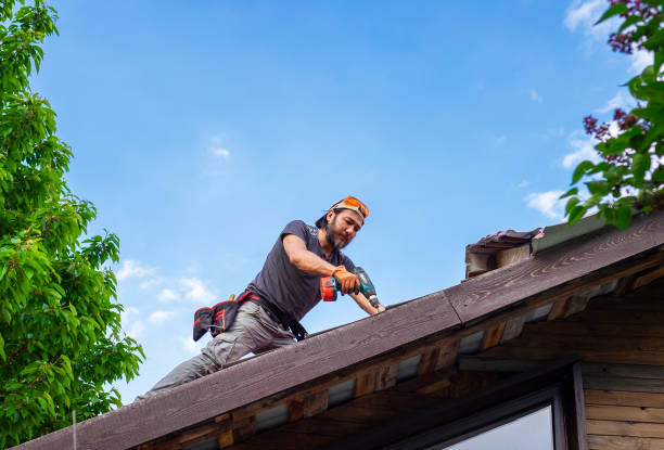 Best Gutter Installation and Repair  in Elwood, UT