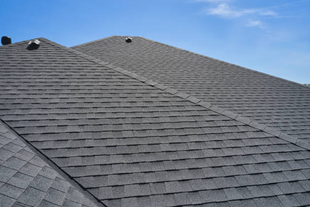 Best Roof Moss and Algae Removal  in Elwood, UT